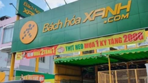 Bách Hóa Xanh kết thúc quá trình "thanh lọc": Đóng 380 chi nhánh, muốn thu 1,5-1,6 tỷ đồng/cửa hàng vào cuối năm