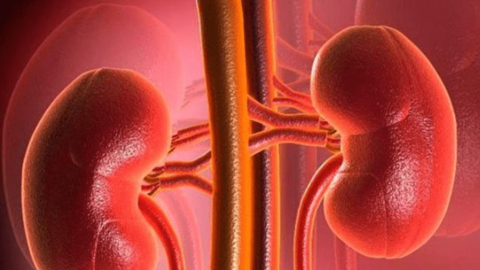 5 dấu hiệu cho thấy thận đang bị tổn thương