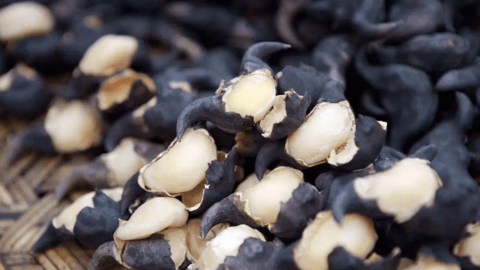 Loại củ dân dã mang nấu canh thì cực bổ dưỡng cho mùa lạnh