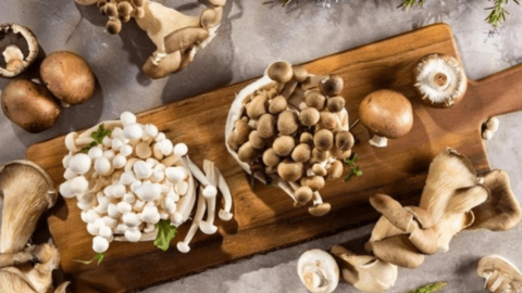 Những thực phẩm giàu vitamin D giúp chống ung thư, luôn tươi vui và không trầm cảm