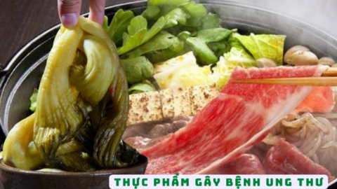 "Bệnh từ miệng mà ra": 4 loại thực phẩm đã được WHO xếp vào danh sách có khả năng gây ung thư