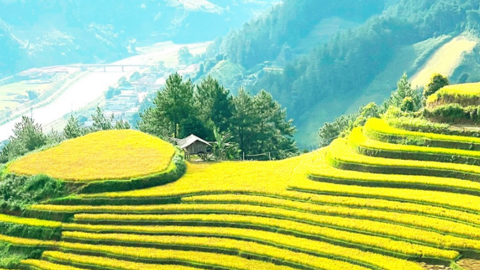 Giới trẻ mê mẩn với “nấc thang lên thiên đường” ở Mù Cang Chải