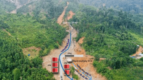 Nỗ lực trồng và bảo vệ rừng là tiền đề để phát triển bền vững