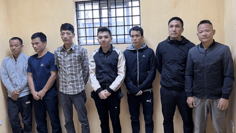 Triệt phá đường dây cá độ bóng đá mùa World Cup với số tiền giao dịch trên 50 tỷ đồng