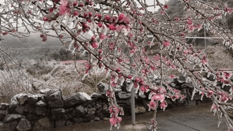 Miền Bắc đón đợt rét sâu nhất từ đầu đông: Chuyên gia nhận định gì?