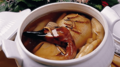 6 nhóm người không nên dùng đông trùng hạ thảo để tẩm bổ