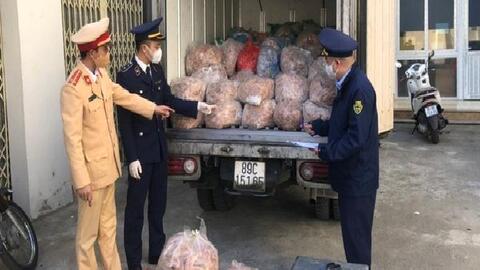 Bắt ôtô chở 1,4 tấn bì heo bốc mùi mang vào Thanh Hóa tiêu thụ