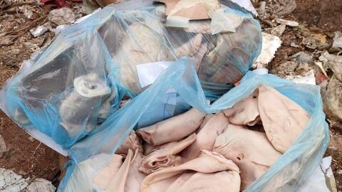 Quảng Ninh: Bắt giữ xe tải chở hơn 5 tấn tai lợn bốc mùi thối