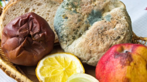 Ung thư đến từ miệng: 4 loại thực phẩm bác sĩ ung bướu không bao giờ ăn nhưng nhiều người thích