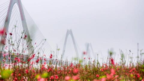 Những hoạt động văn hóa nổi bật dịp Tết Quý Mão 2023