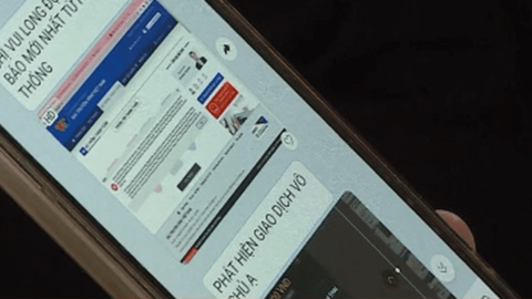 Lừa đảo tài chính trực tuyến nở rộ: Làm sao để ngăn chặn?