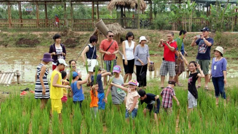 Vì sao du lịch nông nghiệp ở Hà Nội manh mún, nhỏ lẻ?