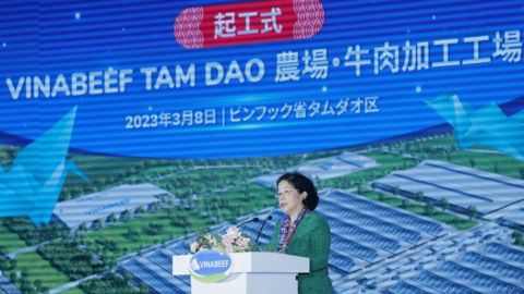 "Giấc mơ thịt bò Việt" của Vinamilk: Nuôi bò Wagyu ở Tam Đảo, quản lý từ "gia phả bò" đến khâu phân phối, có thể quét QR Code truy xuất nguồn gốc