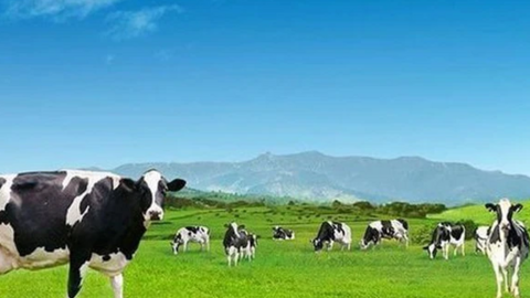 Lộ diện 20 nhà đầu tư lớn nhất nắm giữ 80% vốn Vinamilk: Nhiều cái tên đình đám toàn cầu từ HSBC, Prudential, JPMorgan, Vanguard