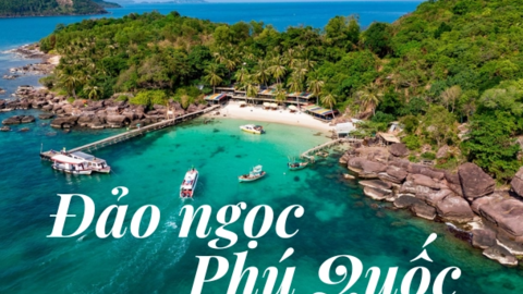 Ai nói đi Phú Quốc là đắt đỏ, dưới đây là những trải nghiệm như người bản địa chỉ tốn chưa tới 100.000 đồng/người