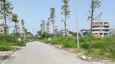 Nhiều khu vực ven Hà Nội chuẩn bị đấu giá hơn 100 lô đất, giá khởi chỉ từ hơn 6 triệu đồng/m2