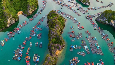 Địa danh Việt Nam Leonardo DiCaprio gọi là "thiên đường", ngay Hải Phòng mà nhiều người chưa biết