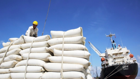 Xuất khẩu một mặt hàng chủ lực của Việt Nam trong tháng 3/2023 tăng đột biến 93,5% so với 2022, thu về gần 509 triệu USD, Trung Quốc và Philipines ồ ạt mua vào