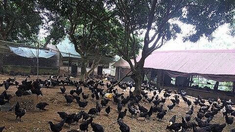 Hà Nội cho phép sử dụng 3 địa danh địa phương để đăng ký nhãn hiệu tập thể