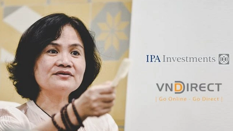 Tập đoàn IPA lỗ gần 150 tỷ đồng trong quý 1, tạm lỗ 572 tỷ đồng với khoản đầu tư vào Cenland