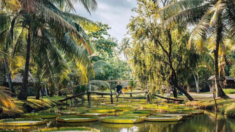 Loạt điểm đến Việt Nam được chuyên trang nước ngoài ca ngợi: Cái tên ở TP.HCM và Cát Bà nhiều người chưa biết