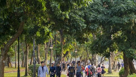 Hà Nội: Sẽ xem xét tháo dỡ toàn bộ hàng rào công viên Thống Nhất