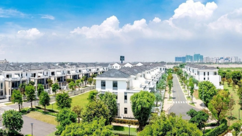 Novaland đã trở lại bình thường?