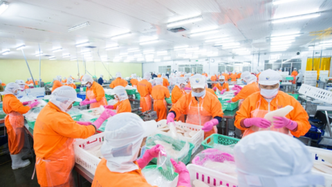 Xuất khẩu khó khăn, Navico dự kiến giảm lãi 35%