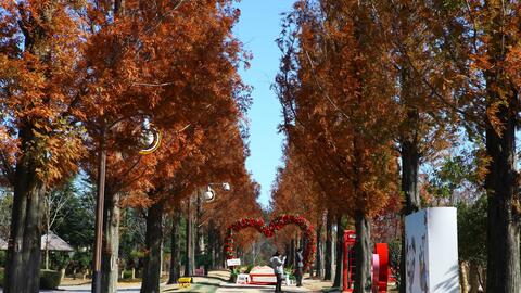 Vùng vịnh đẹp mê hồn của xứ Kim chi: Nơi người dân dùng thiên nhiên để trị liệu cho tâm hồn