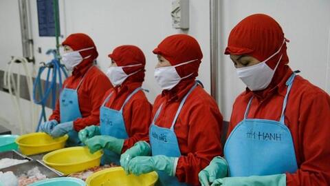 Thương mại điện tử xuyên biên giới: Rộng cửa cho hàng xuất khẩu