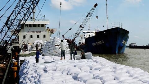 Tăng cường thực hiện các nhiệm vụ, giải pháp thúc đẩy sản xuất, xuất khẩu gạo