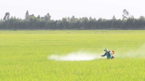 Long An: Nhiều điểm sáng phát triển kinh tế 6 tháng đầu năm