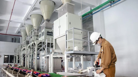 Hoá chất Đức Giang (DGC) báo lãi quý 2 giảm quá nửa so với cùng kỳ, 60% tài sản đem gửi ngân hàng