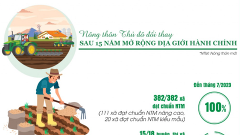 Nông thôn Thủ đô đổi thay sau 15 năm mở rộng địa giới hành chính