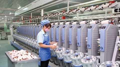 Nhà máy sợi An Ninh đi vào hoạt động, Damsan (ADS) báo lãi quý 2 tăng trưởng 43%