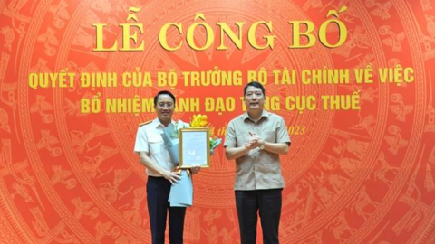Tổng cục Thuế có phó tổng cục trưởng mới
