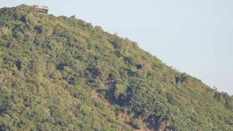 Vụ núi Nhỏ Vũng Tàu trông như sụt lún: Hơn 2.200m2 rừng bị xâm hại