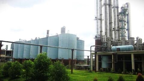 Đồng Nai: 117 doanh nghiệp nợ thuế hơn 809 tỷ đồng