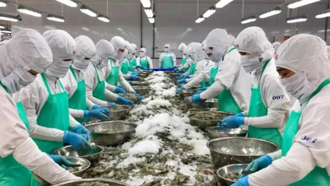 Doanh nghiệp chật vật giữa 'vòng vây' tỷ giá