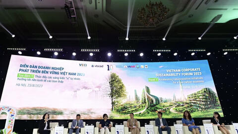 Doanh nghiệp biến rác nhựa ở Việt Nam thành nhựa "xịn" ở Mỹ, xuất khẩu 4.000 tấn/năm