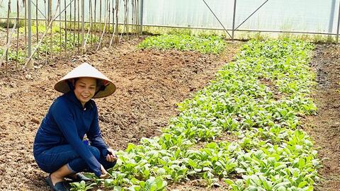 Hà Nội đặt mục tiêu đến năm 2030 có hơn 3.000 hợp tác xã