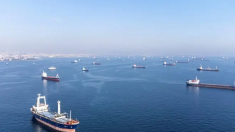 Thổ Nhĩ Kỳ: Thỏa thuận ngũ cốc không thể thiếu Nga