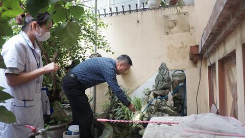 Cả nước đã có 81.808 ca mắc sốt xuất huyết