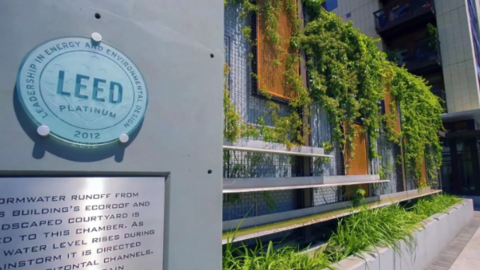 Doanh nghiệp Việt nắm bắt xu hướng mới vào thị trường Canada