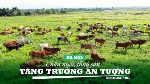Chăn nuôi tuần hoàn trong kỷ nguyên số