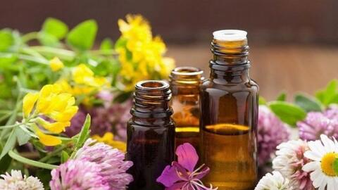 Bộ Y tế thu hồi toàn quốc lô tinh dầu hoa bưởi