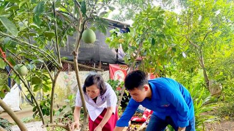 Thị xã Sơn Tây đẩy mạnh đối phó với dịch sốt xuất huyết