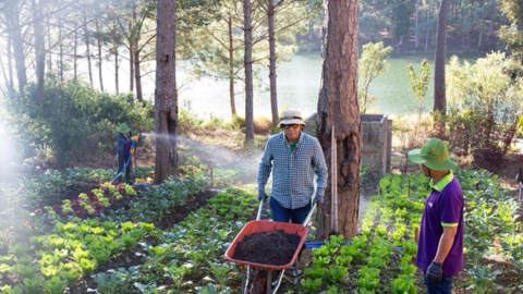 Chủ tịch Vinamit lên TikTok bán hàng, mở công ty mới La Moi và hướng tới thực phẩm 'chữa lành' nguồn gốc thực vật