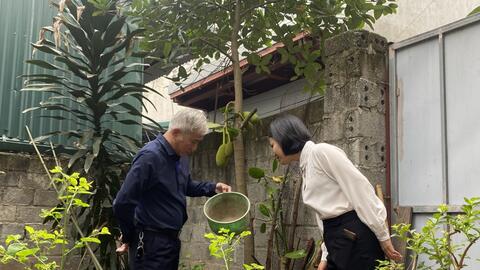 Số ca mắc sốt xuất huyết có chiều hướng giảm