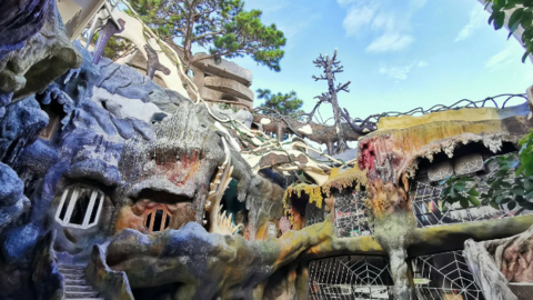 Phát hiện “ngôi nhà điên” ở Đà Lạt, được CNN ca ngợi, du khách nhận xét “không ngờ nơi này ở Việt Nam”